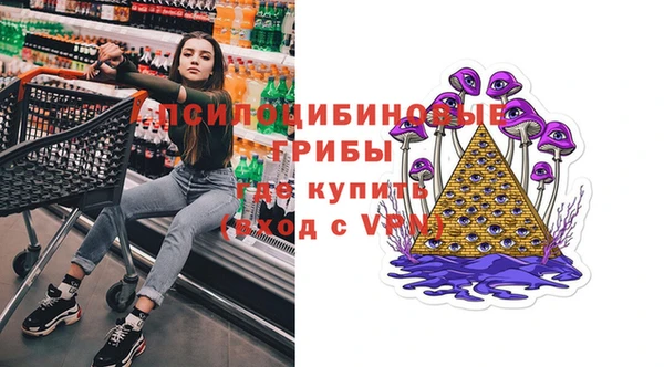 МДПВ Верхний Тагил