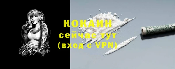 мескалин Бородино
