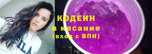 индика Бугульма