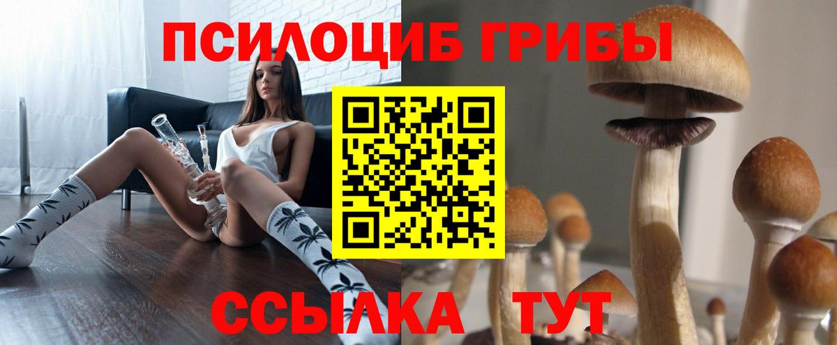 Городец  Псилоцибиновые грибы прущие грибы  Вход с VPN 