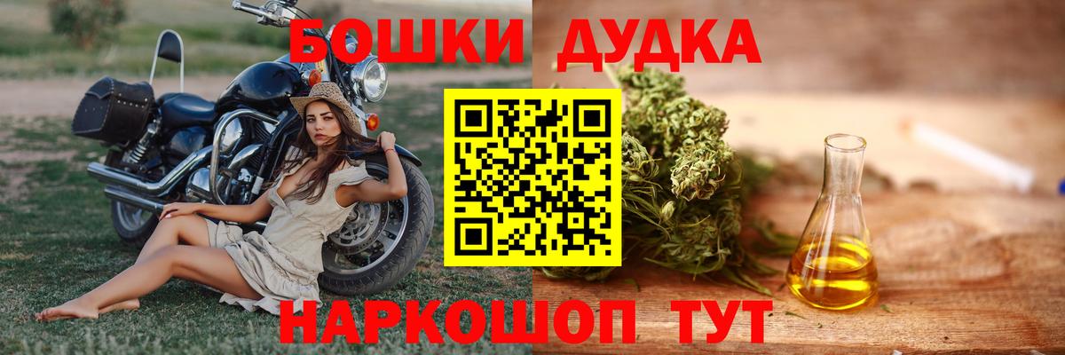 Конопля сатива Городец